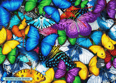 Butterflies