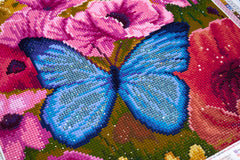 Butterfly Meadow