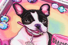 Diamond Girl