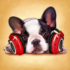 Headphone Frenchie
