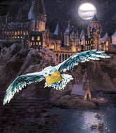 Hogwartsâ„¢ and Hedwigâ„¢
