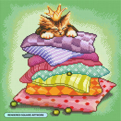 Princess & The Pea Kitty