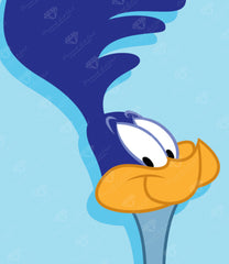 Road Runner™