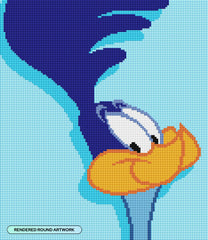 Road Runner™