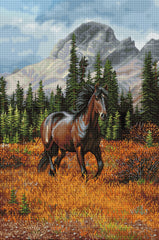 Rocky Mountain Freedom