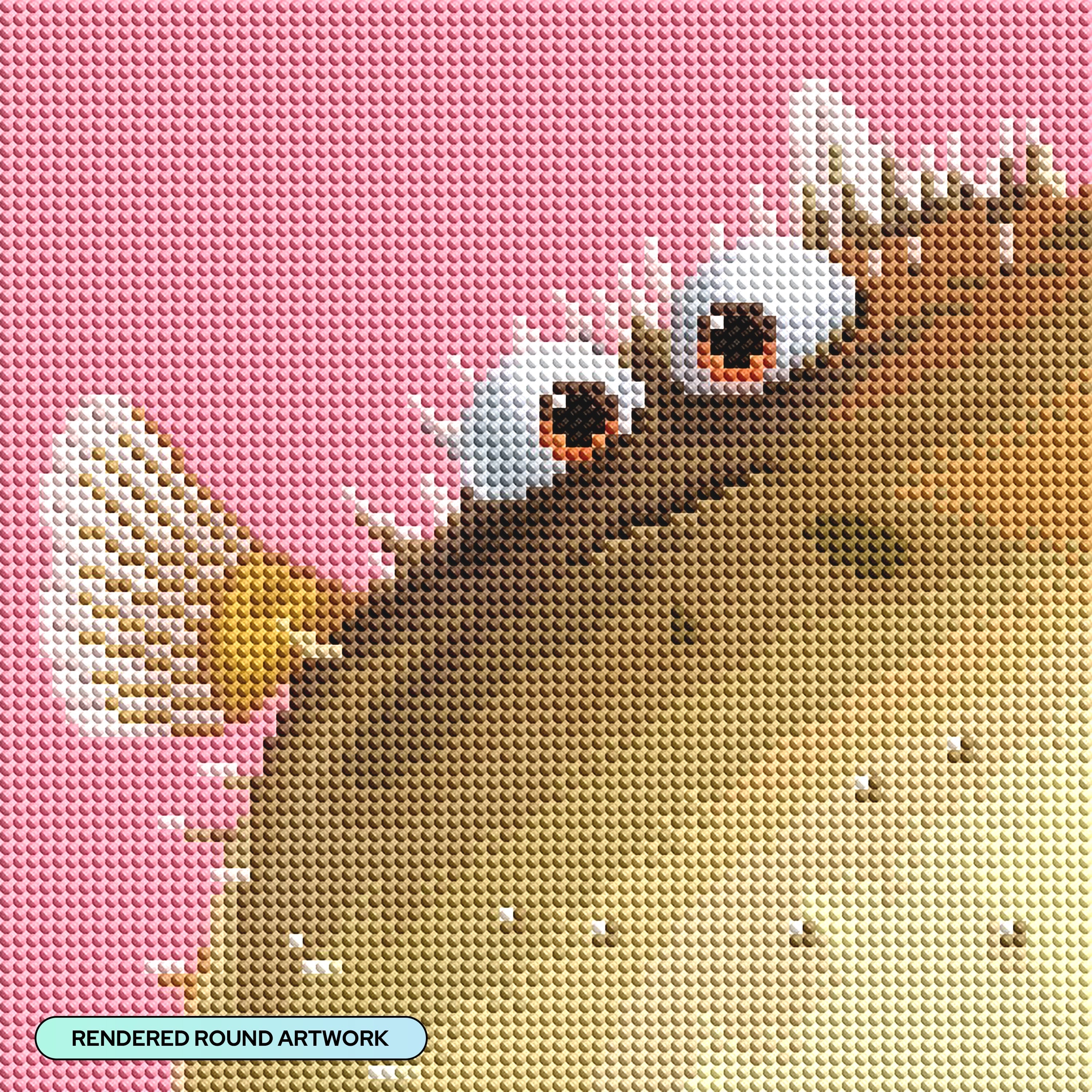 Bloat