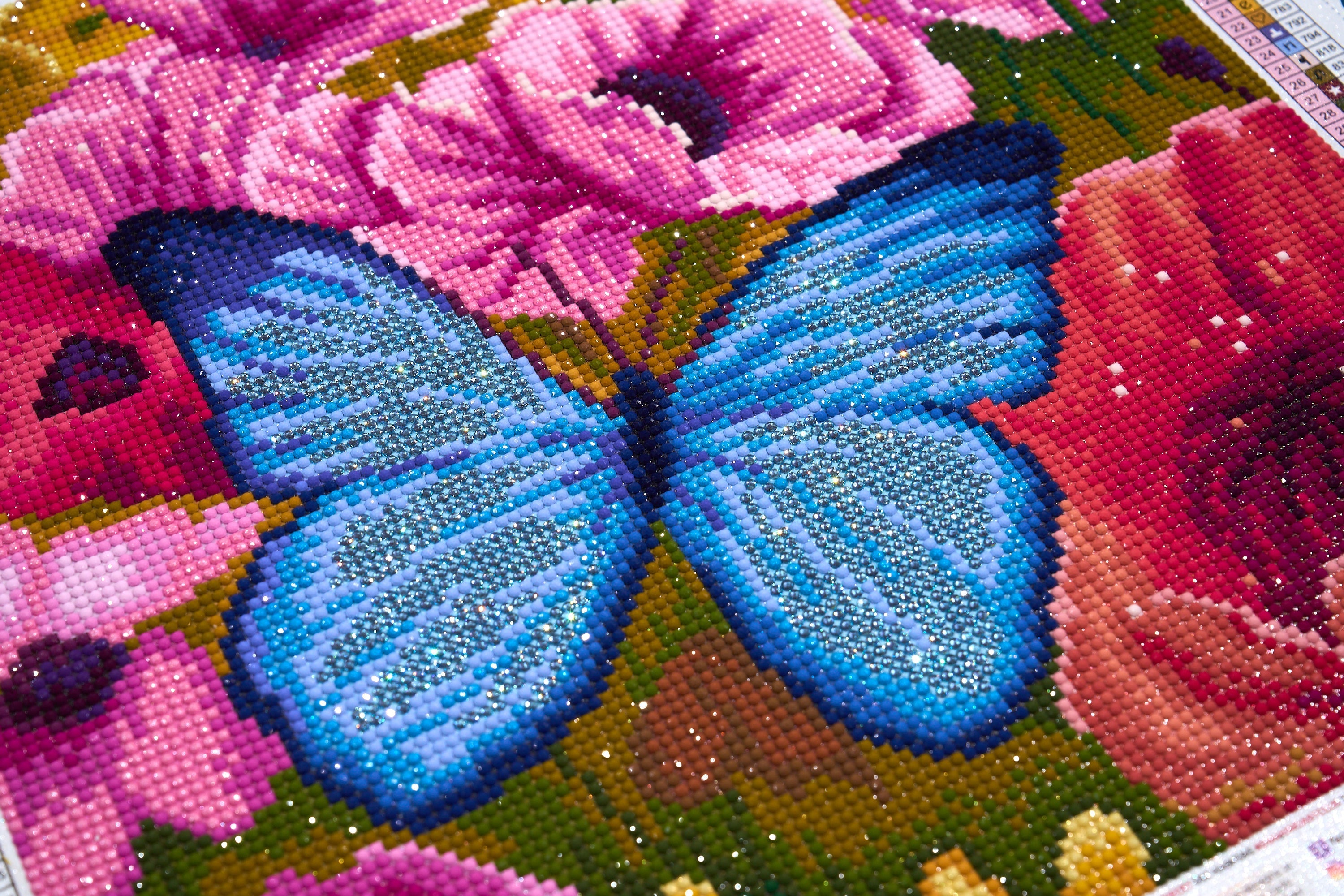 Butterfly Meadow
