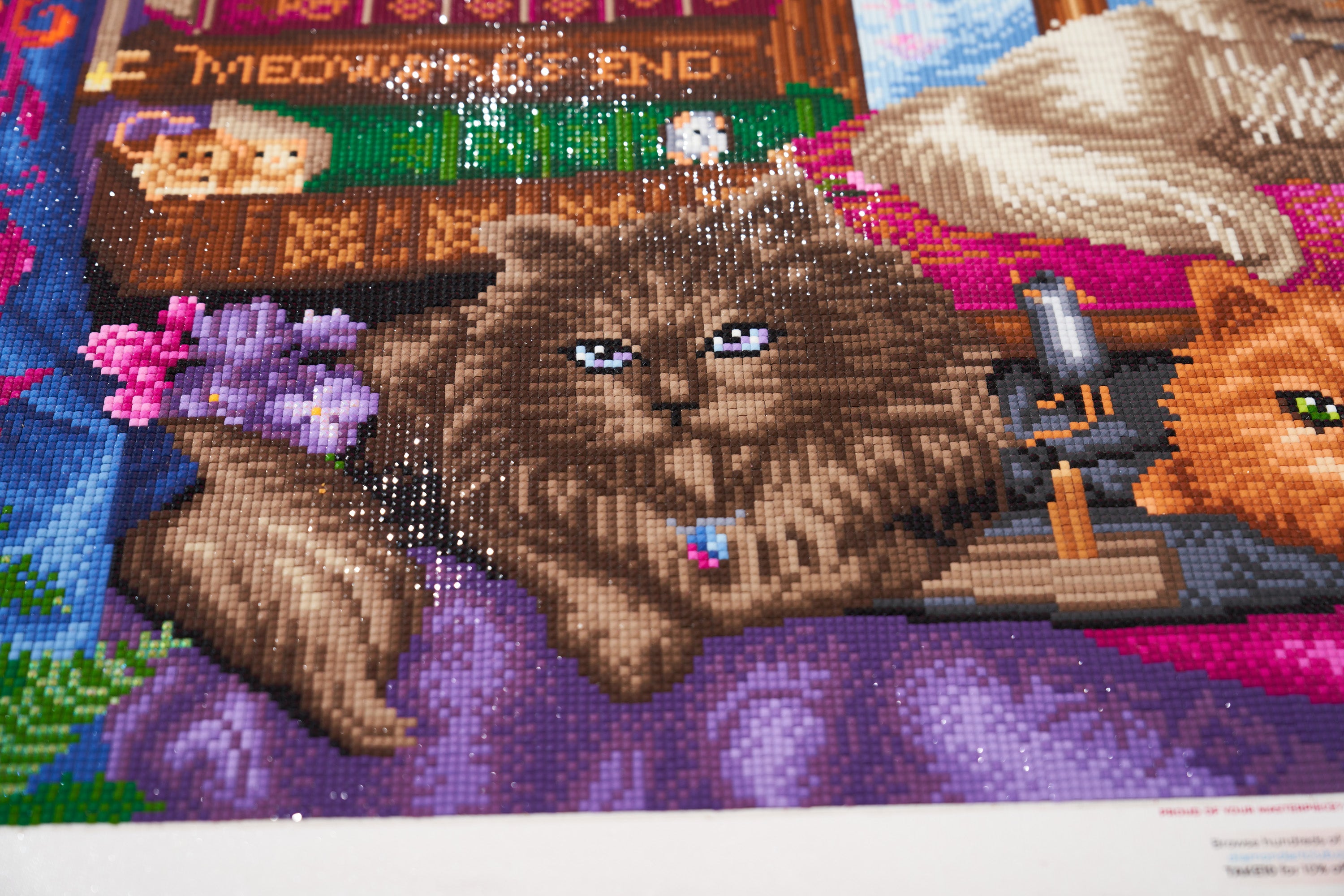 Cats