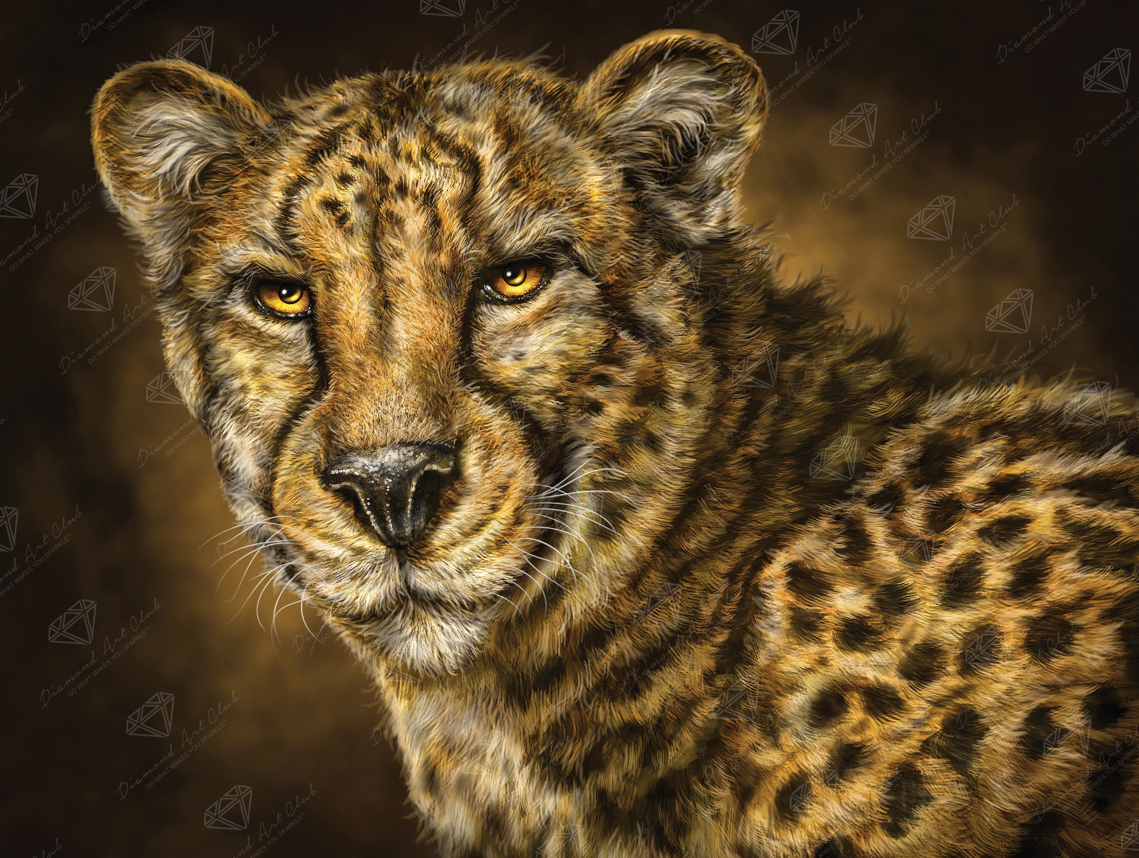 Cheetah