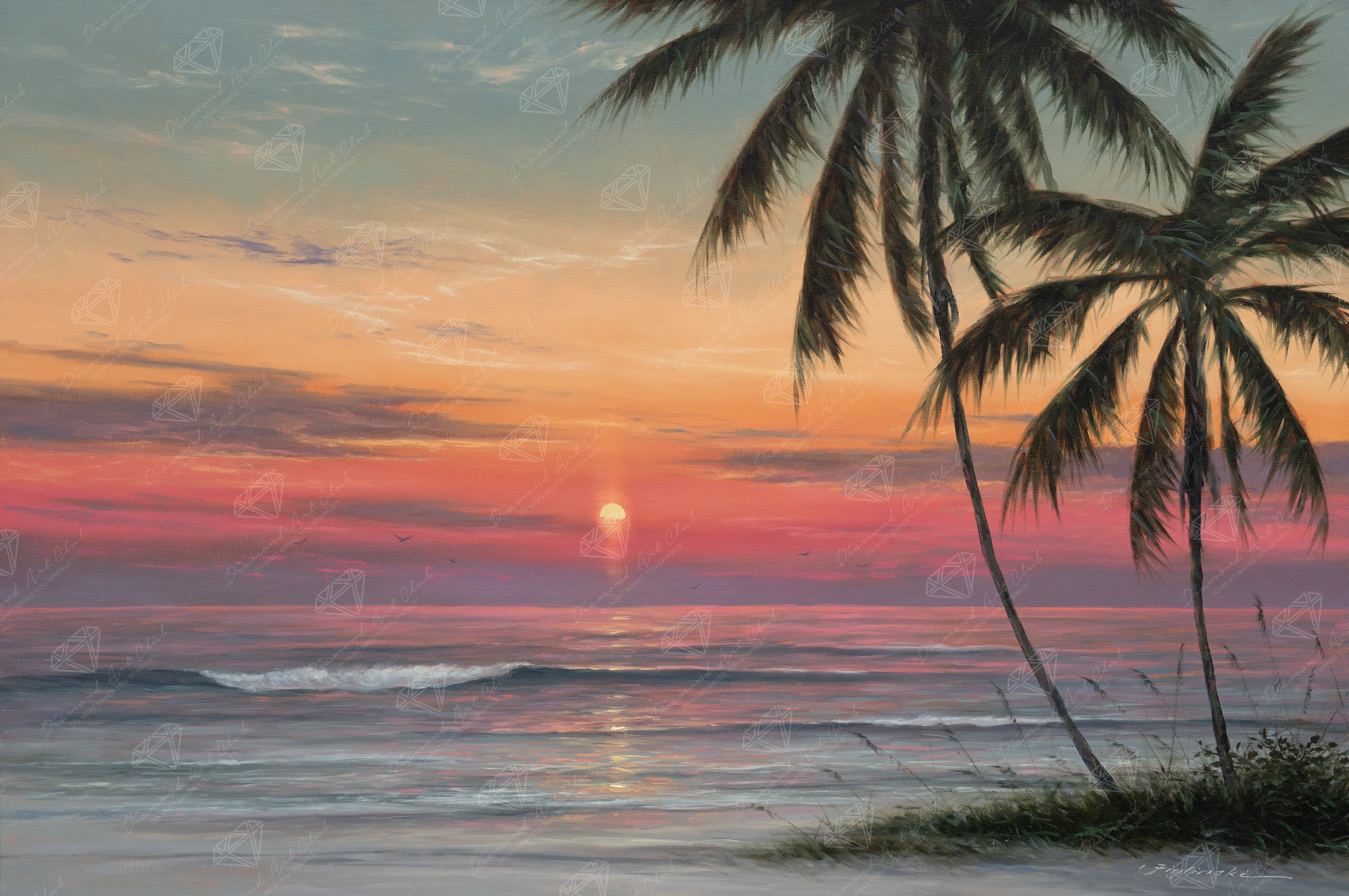 Coral Sunset