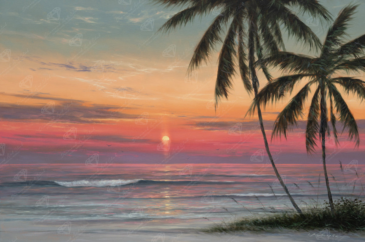 Coral Sunset