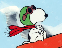 Flying Ace