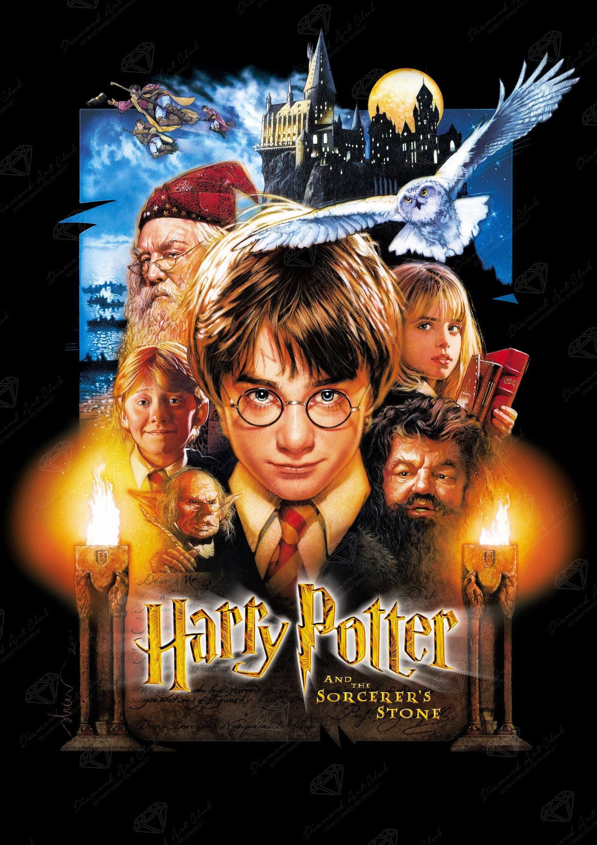 Harry Potter and The Sorcerer's Stone™