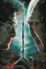 Harry Potter™ vs. Voldemort™