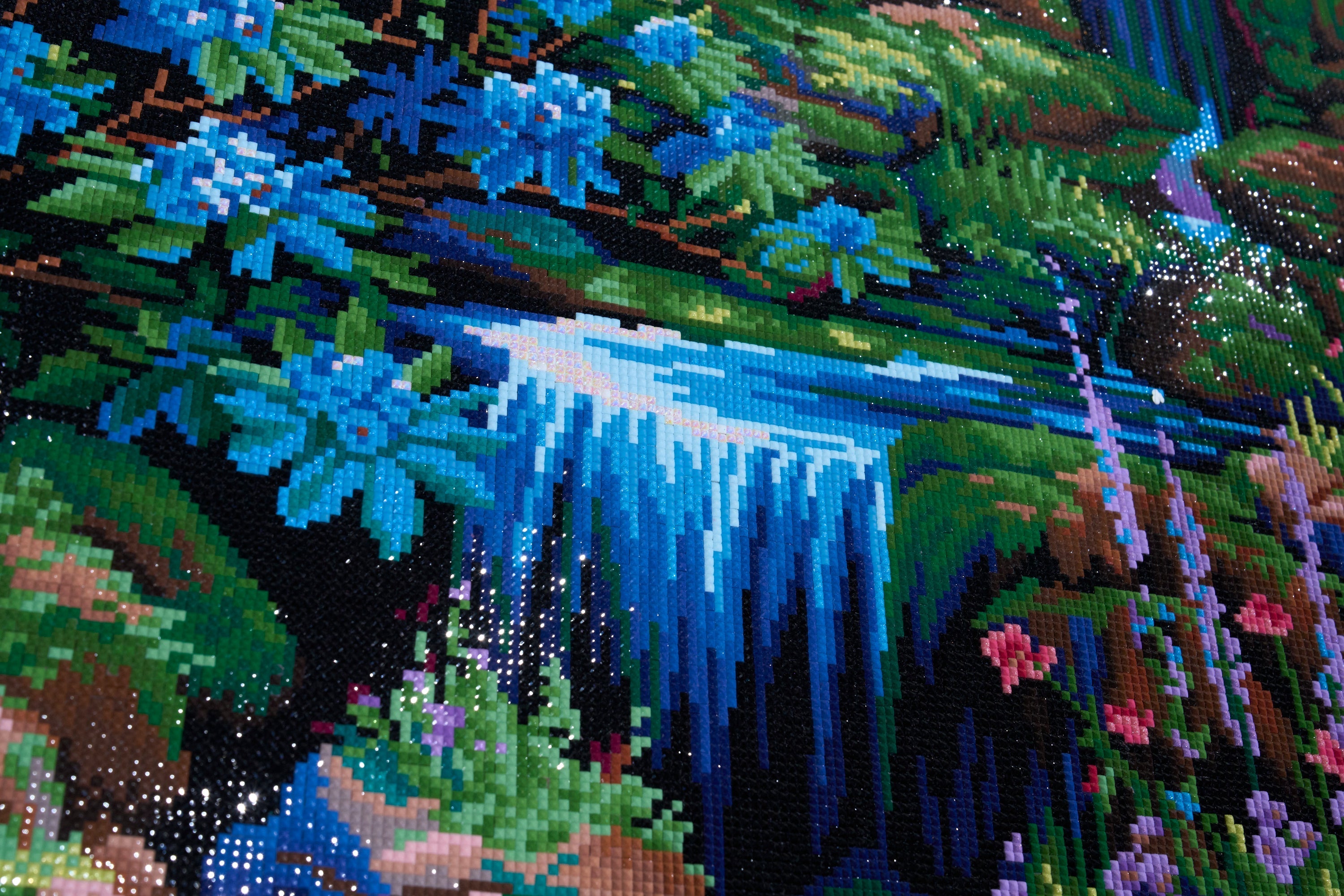 Nature's Melody
