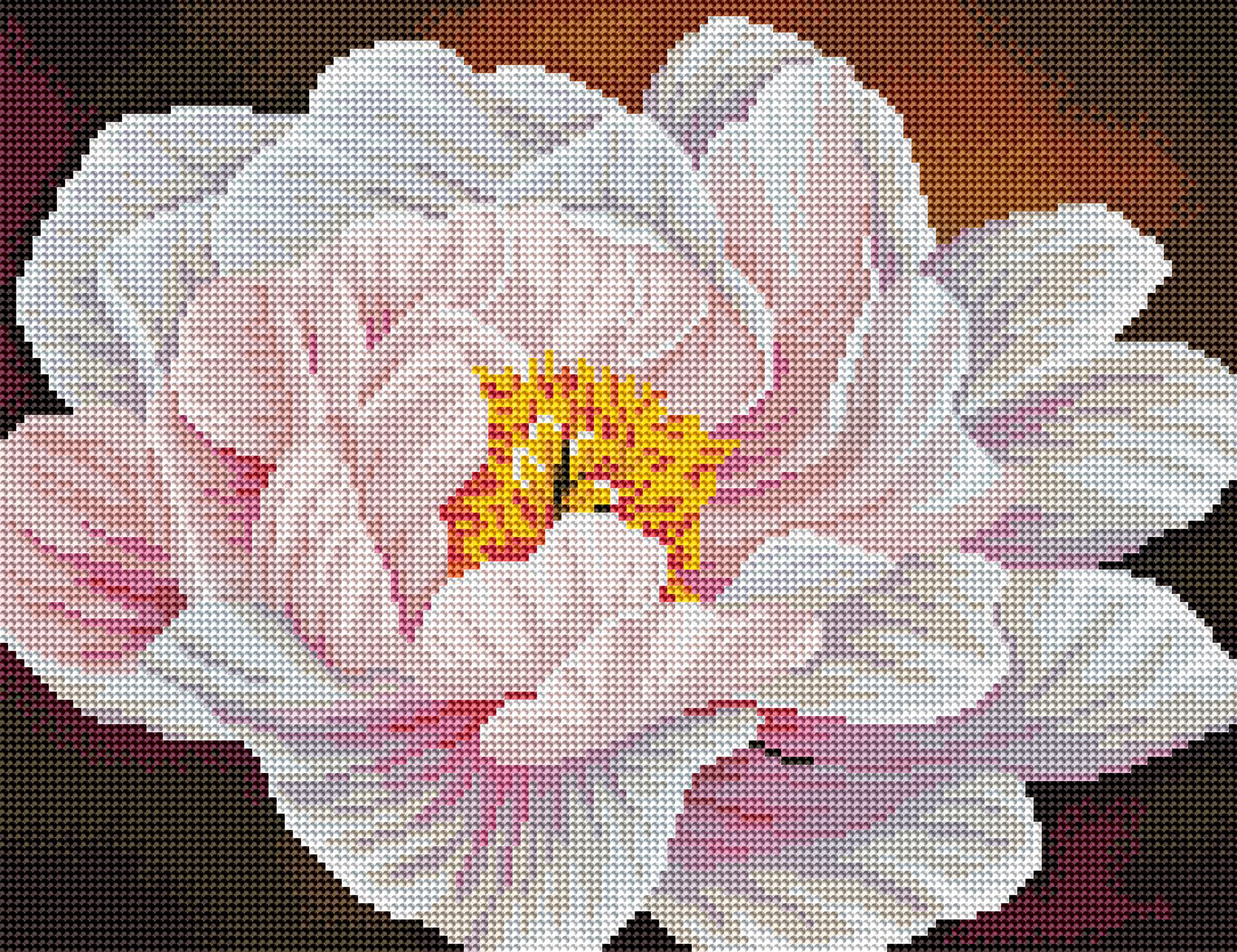 Peony Etude