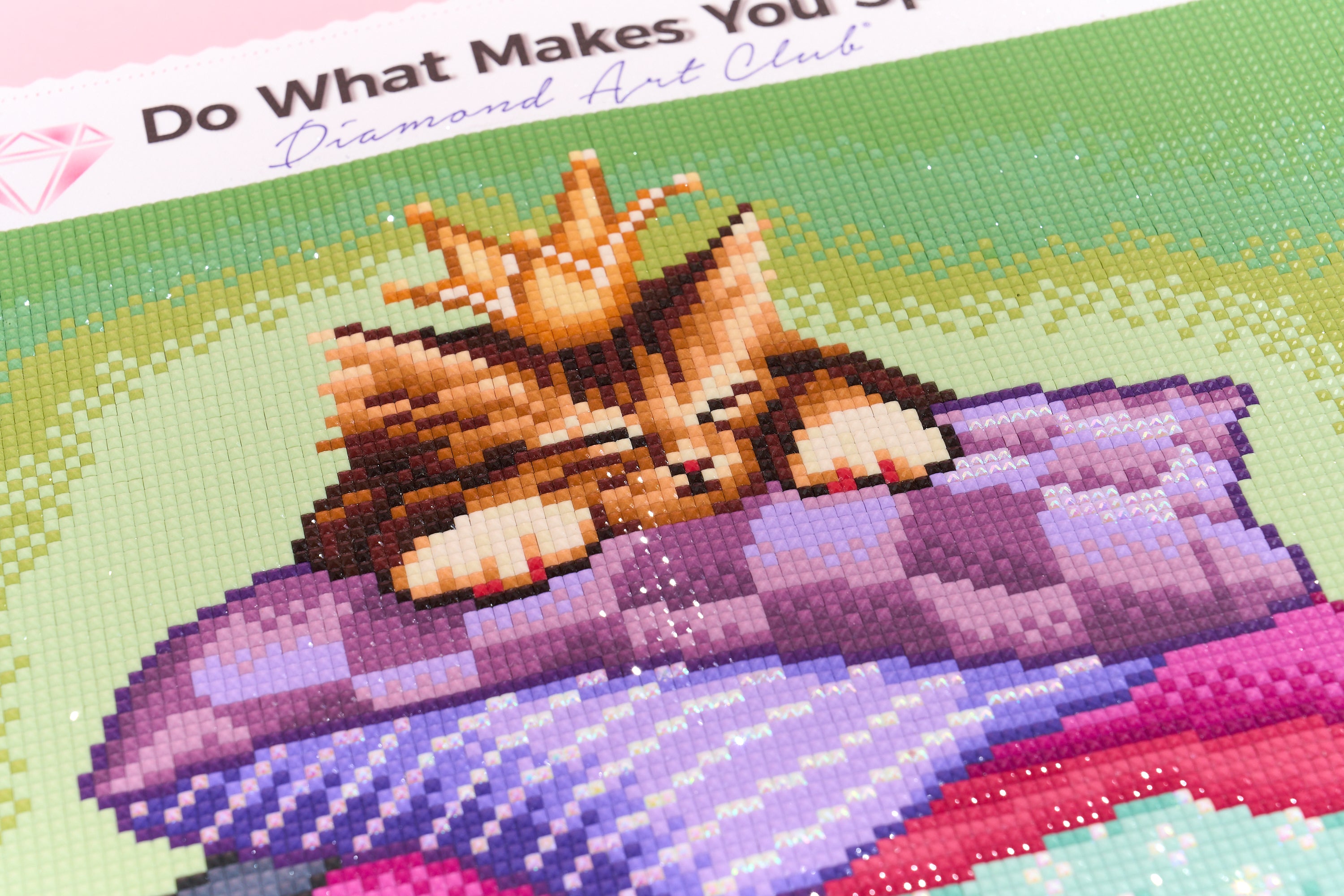 Princess & The Pea Kitty
