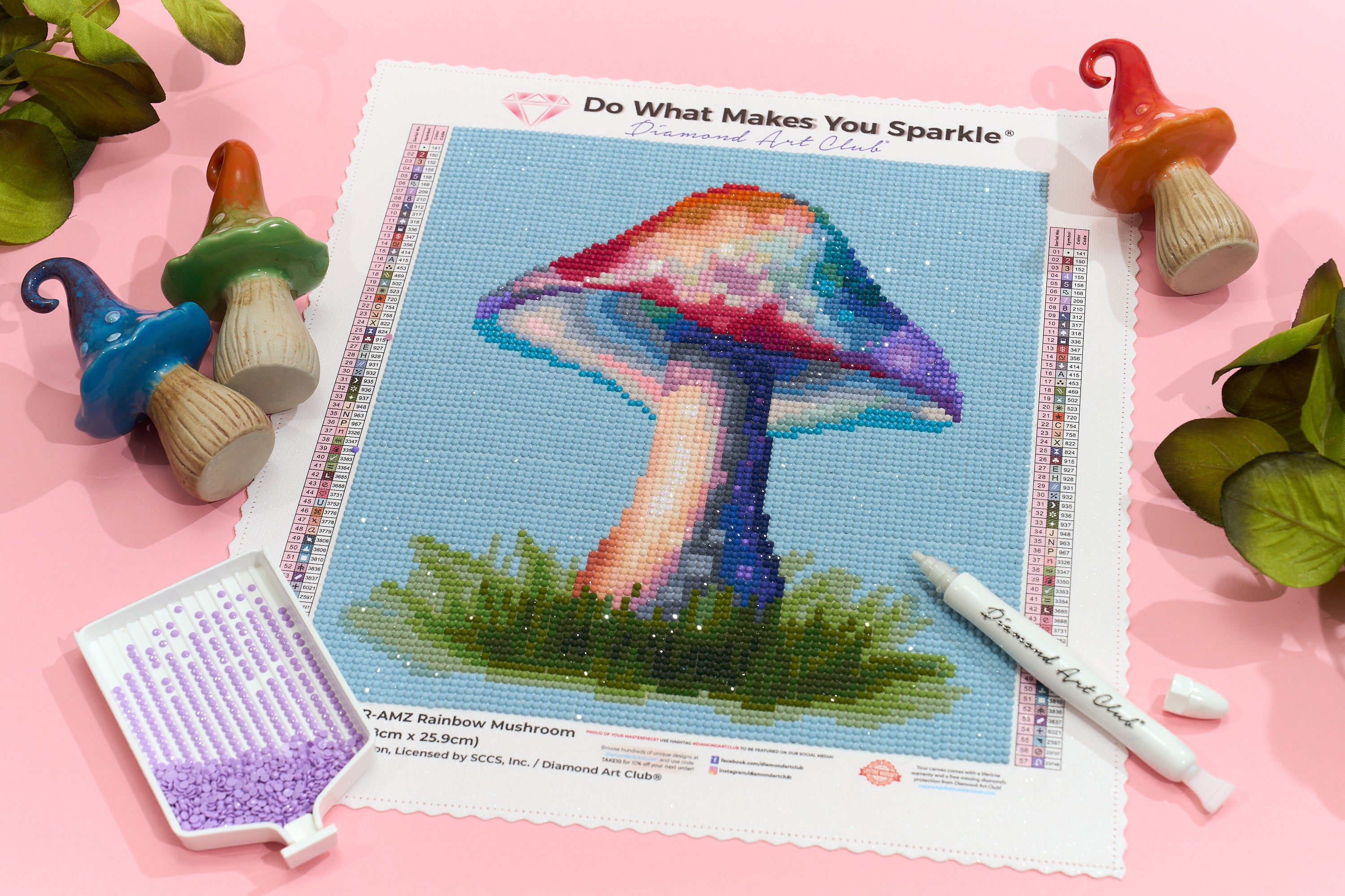 Rainbow Mushroom