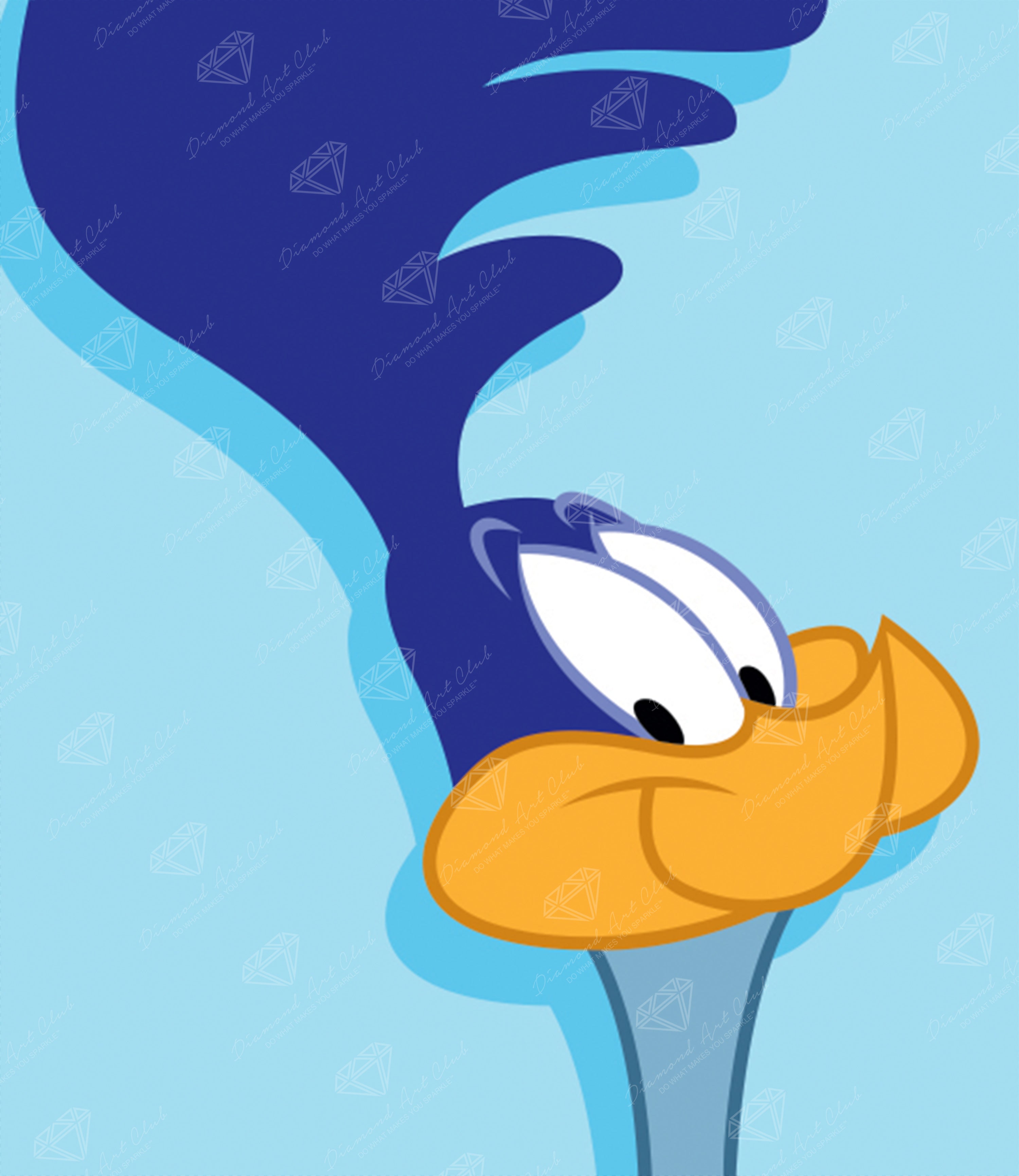 Road Runner™