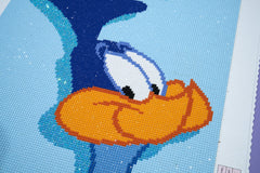 Road Runner™