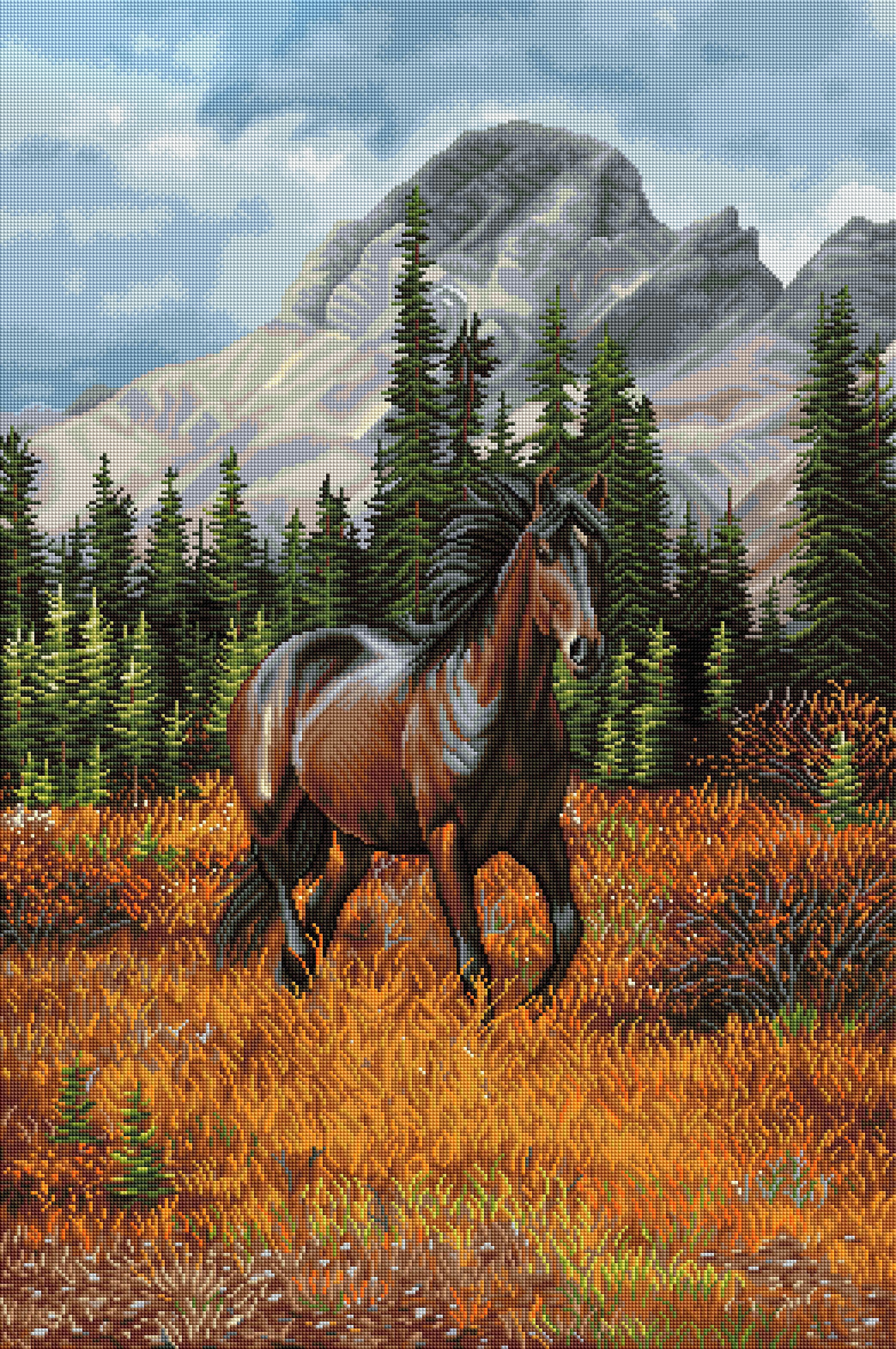 Rocky Mountain Freedom
