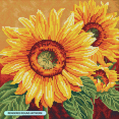 We Are Sun