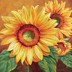 We Are Sun
